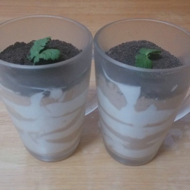 木糠杯——适合小白做的甜品
