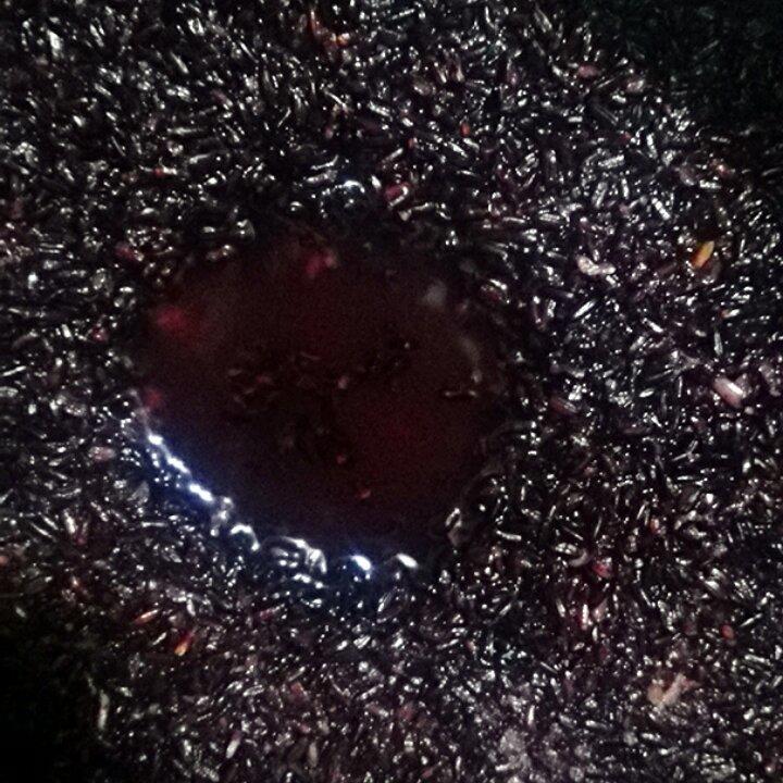 酒酿 (酒酿系列一）