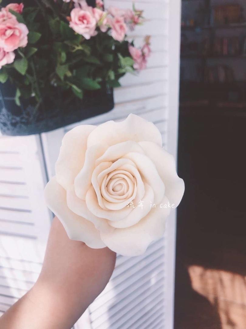 小蝎的流年in cake