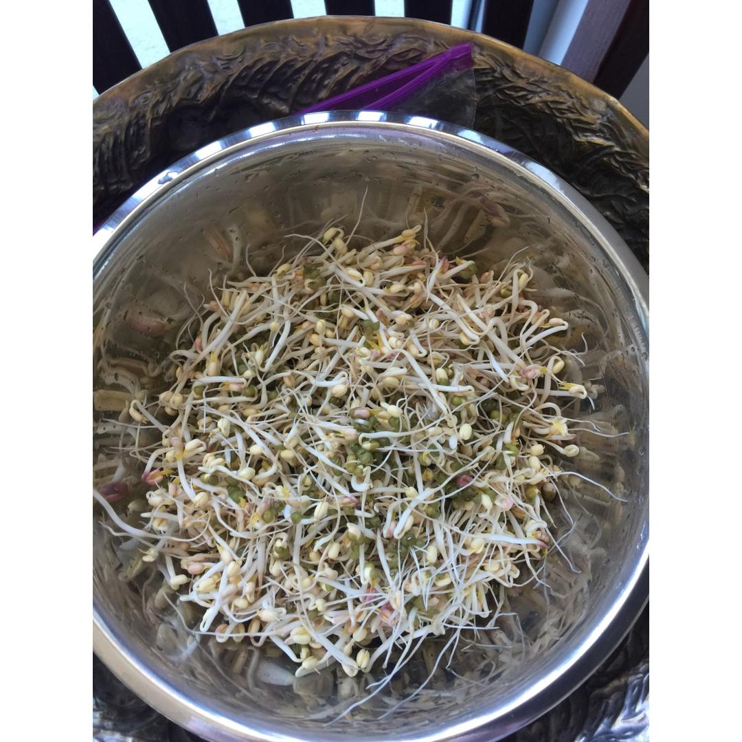 自制豆芽