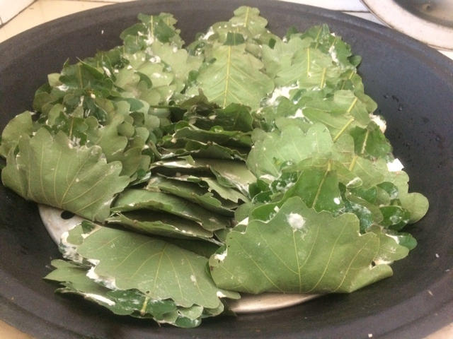 玻璃叶饼