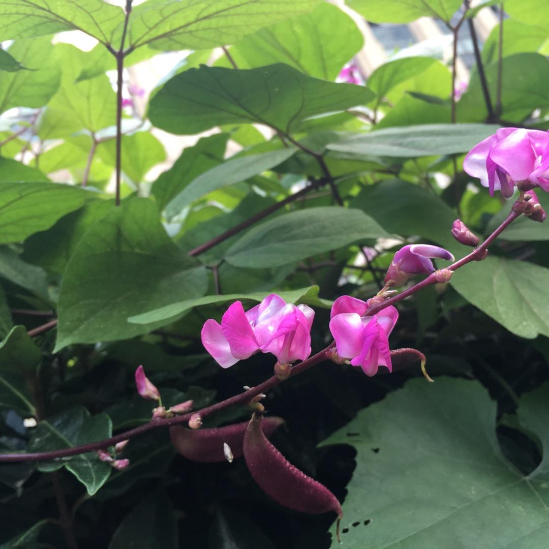 手机用户1813_5edn