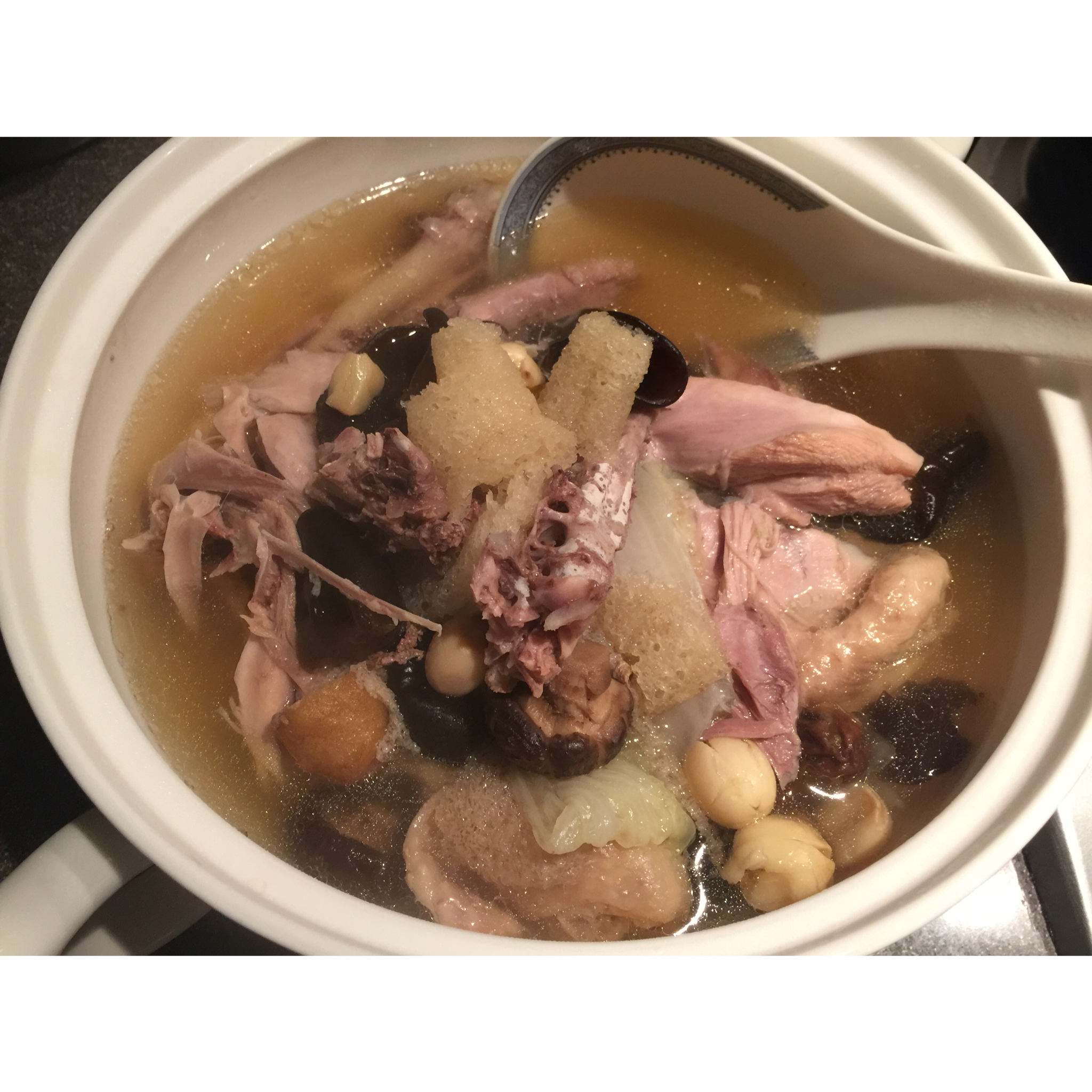 姬松茸竹荪菌菇鸡汤