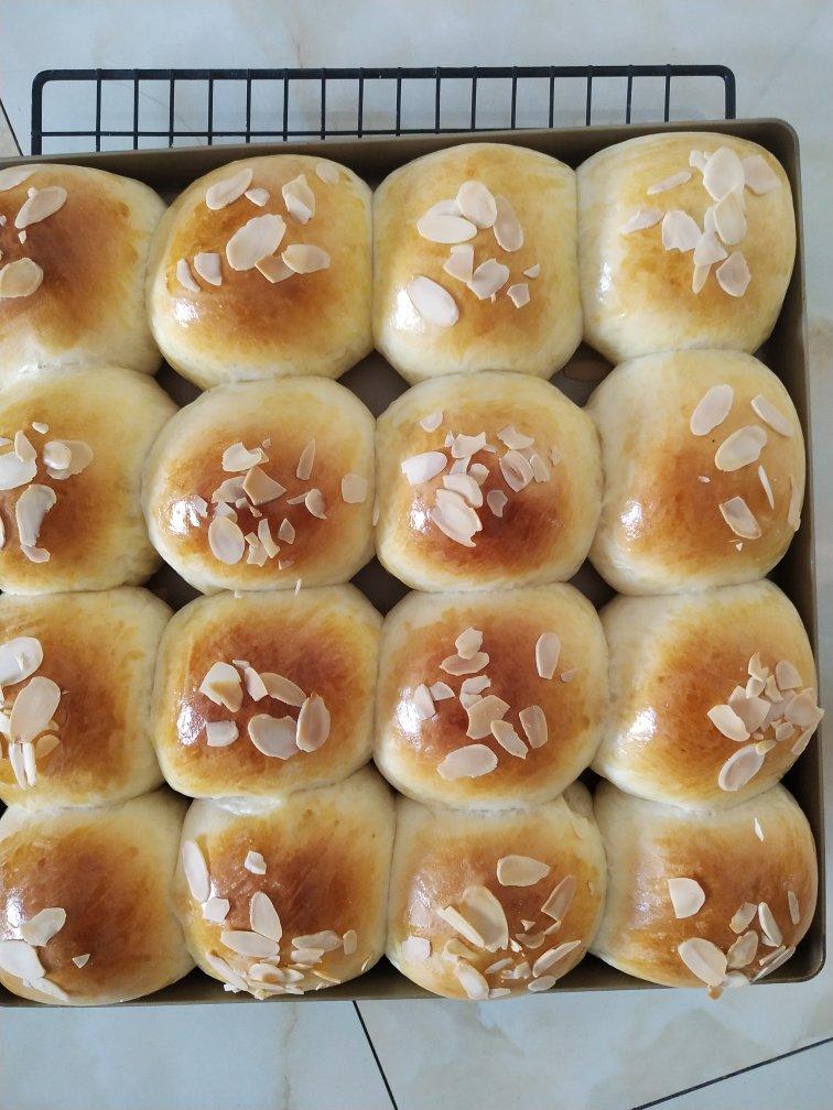 鲜奶油小餐包（一次发酵）