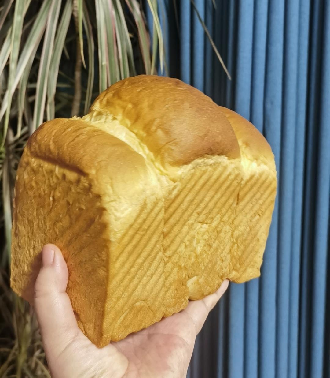 汤种法北海道牛奶小吐司