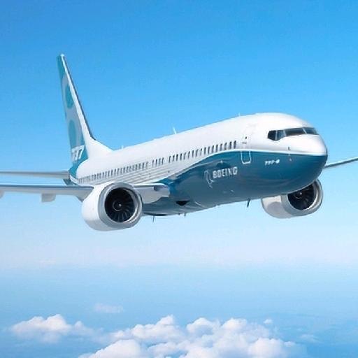野生的737max