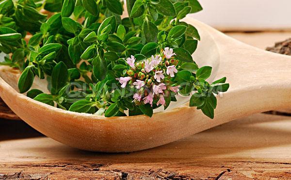 生物技术顾问潇潇