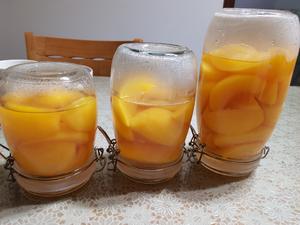 自制黄桃罐头的做法 步骤9