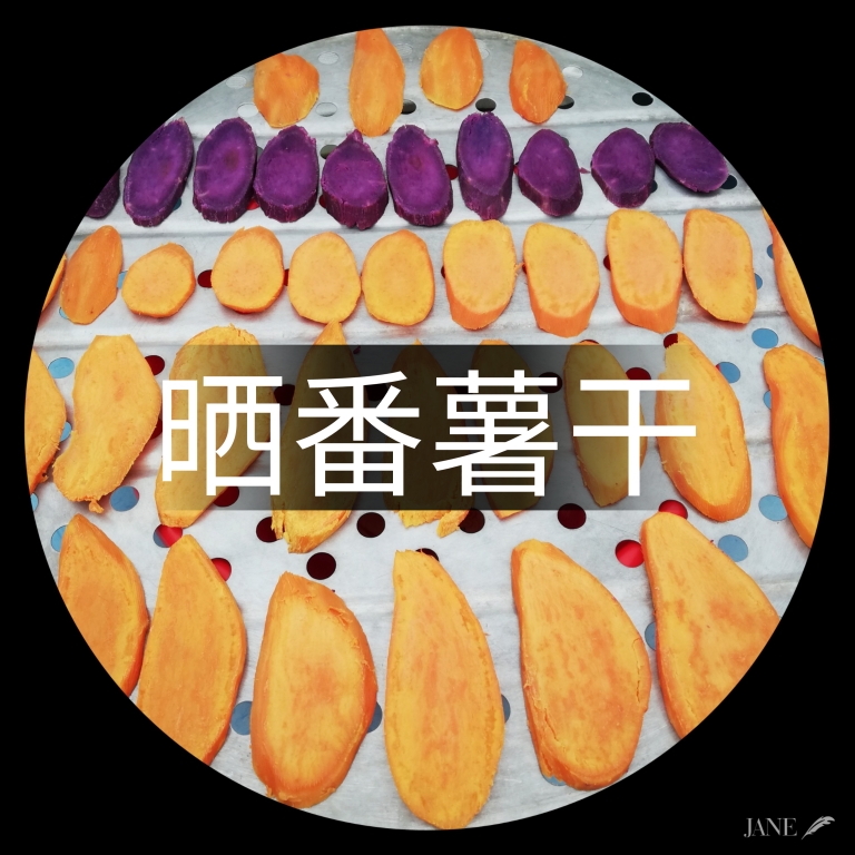 【晒番薯干】古法三蒸三晒软糯香甜