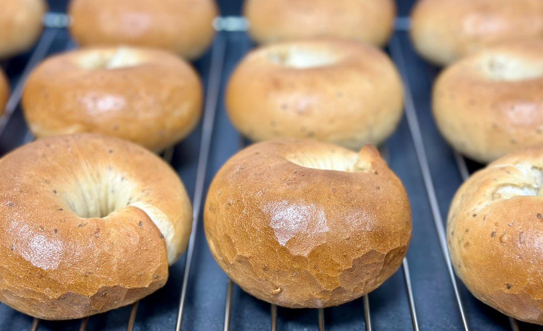 全麦贝果🥯