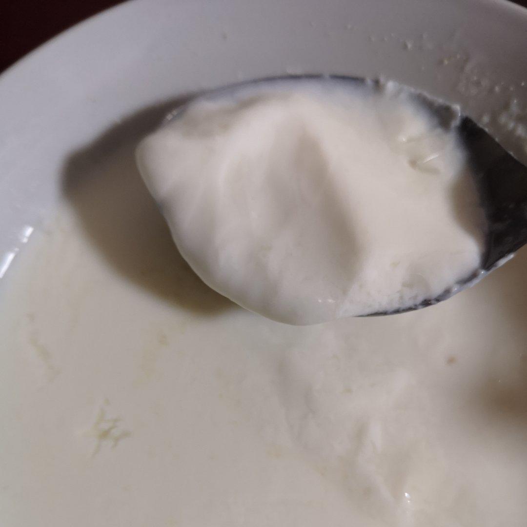 【姜撞奶】没温度计也能撞好一碗祛寒暖胃的粤式甜点