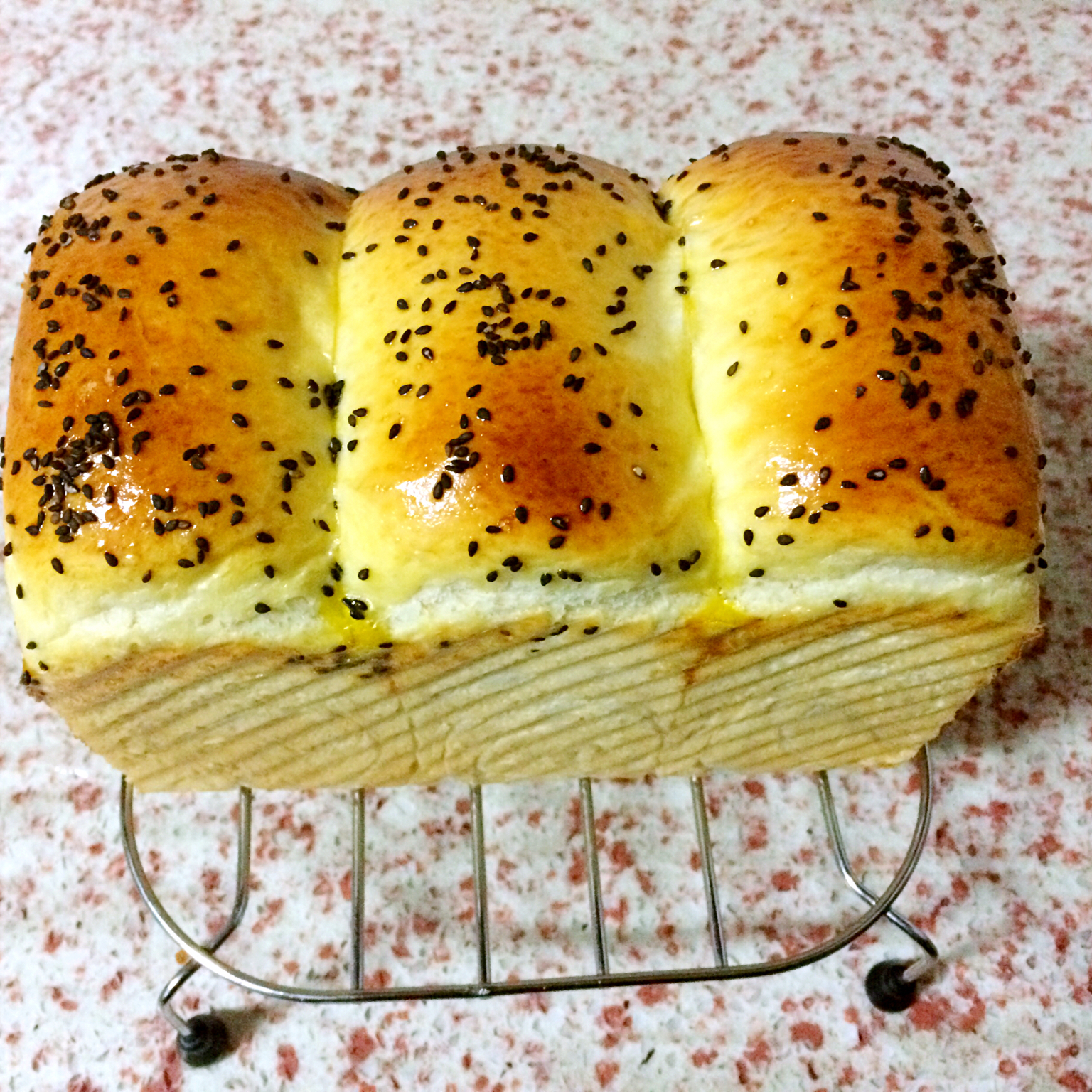 【北海道吐司】体验经典-妃娟100%中种，冷藏冰种的美味