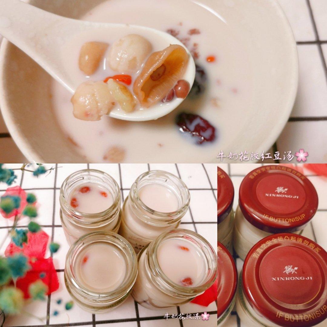 【小森妈妈菜谱】滋补养颜牛奶花胶冻