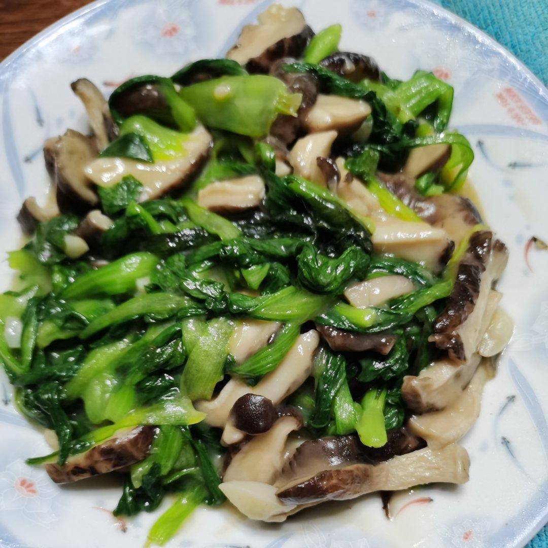 上海青炒香菇