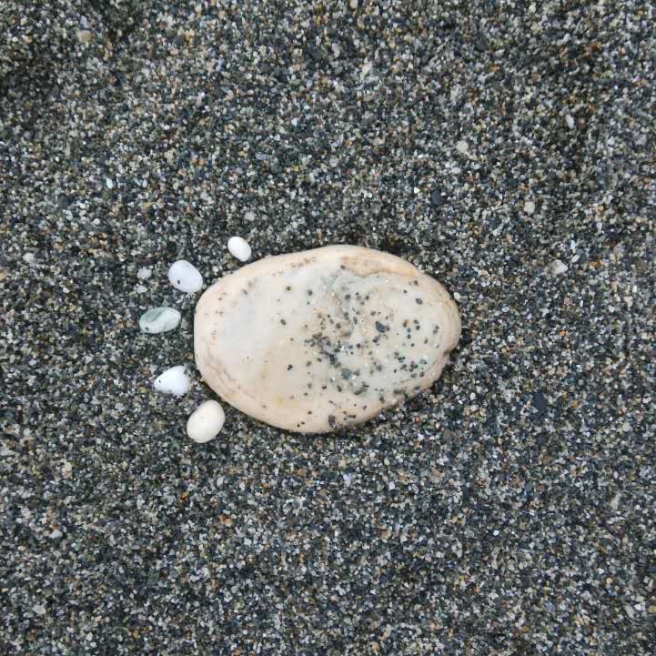 淡看晴雨