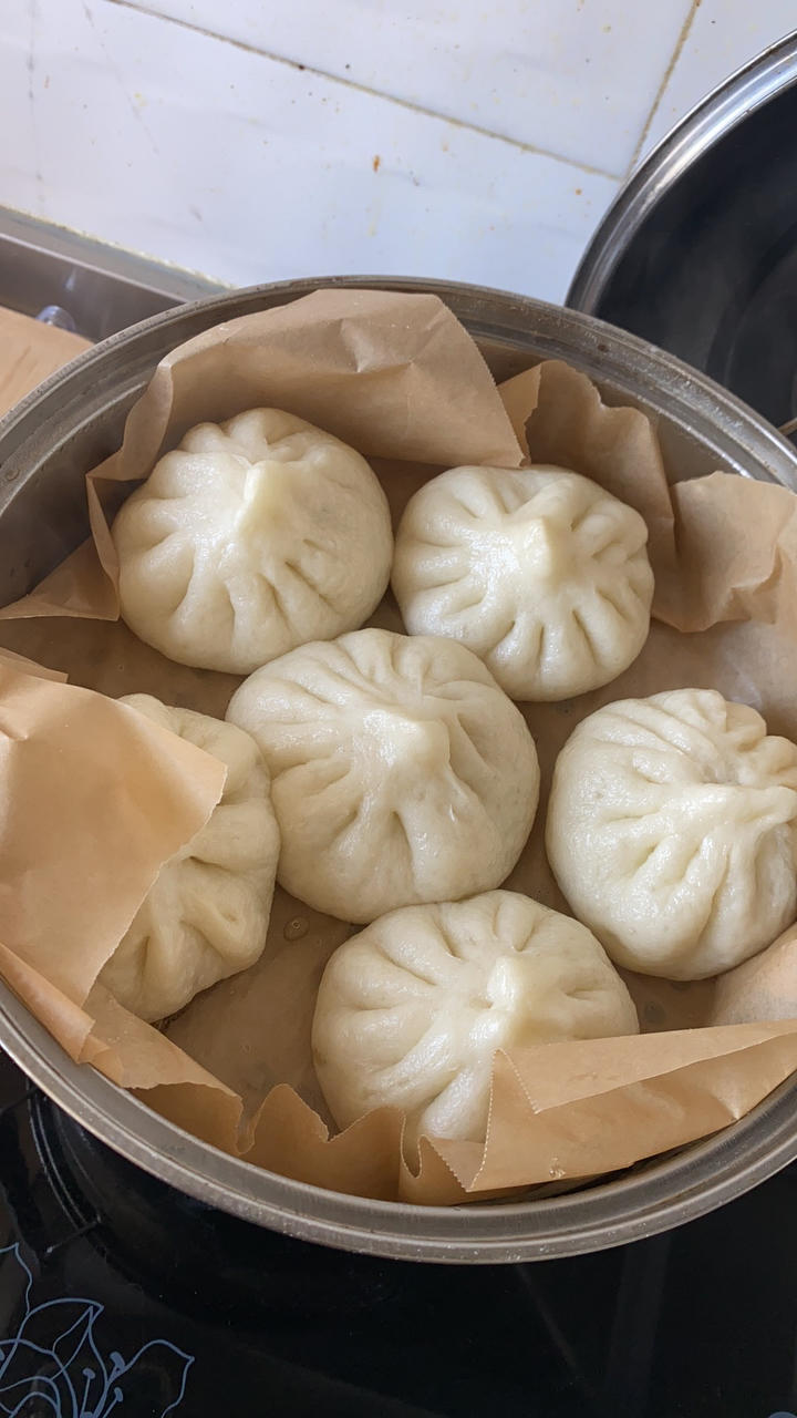 一次发酵肉包子