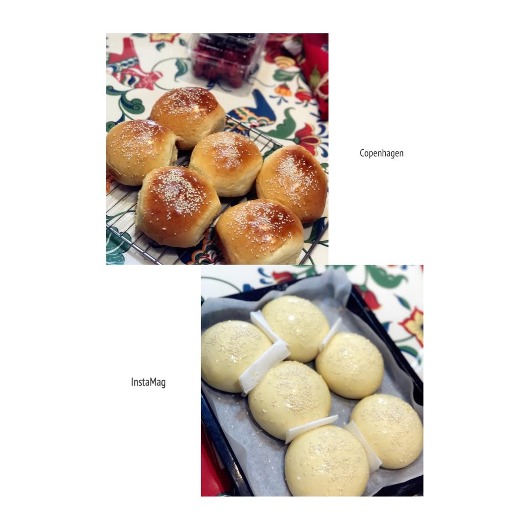 汉堡胚（中种法）