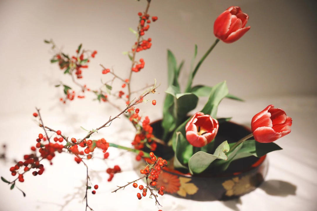 冬天不吃橙的阿晨