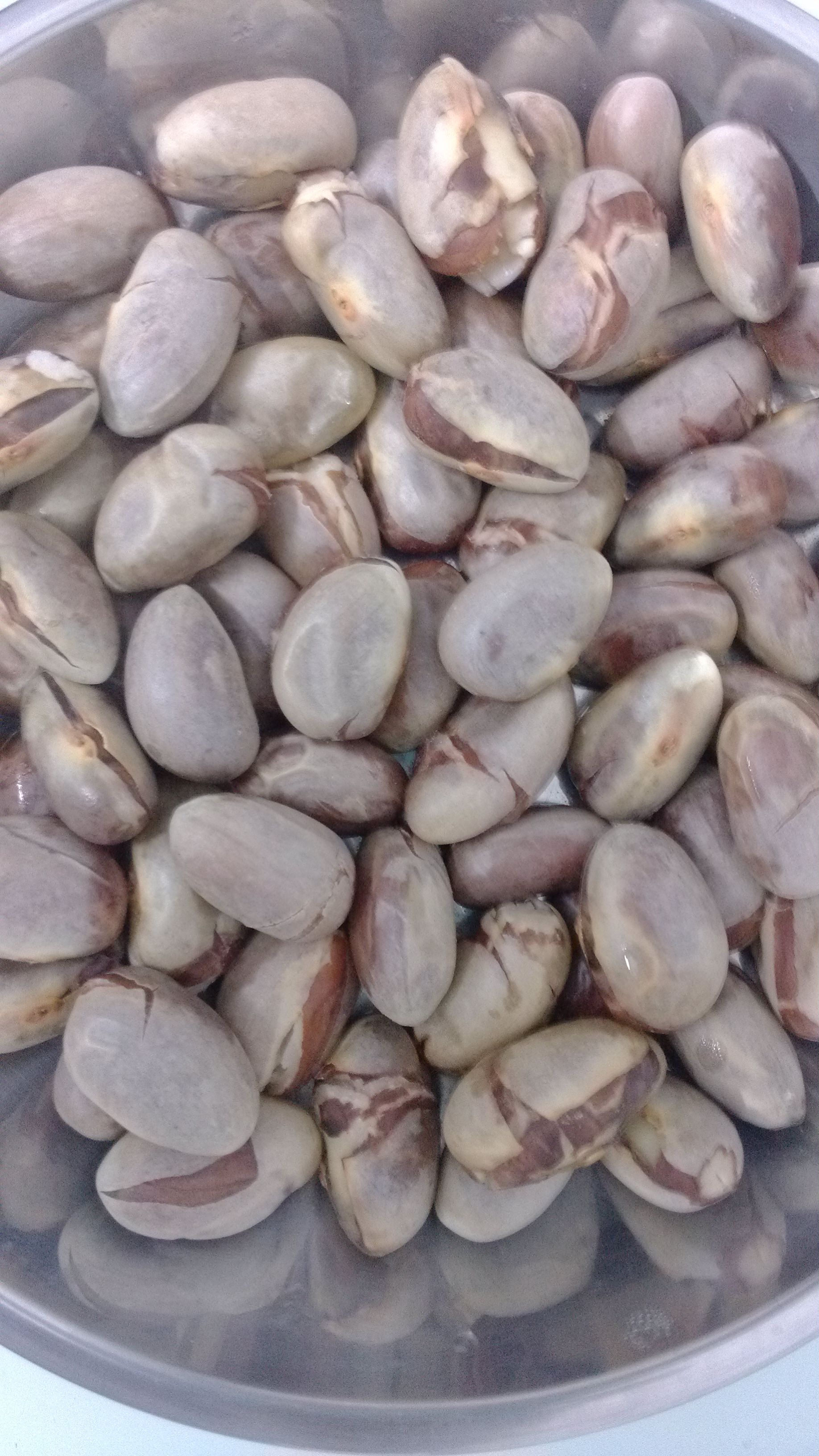 あ贞ラ做的盐水煮菠萝蜜籽