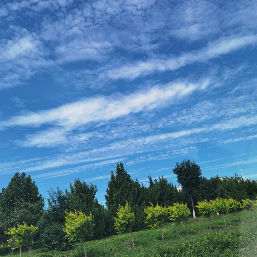 只要你愿意生活处处有惊喜