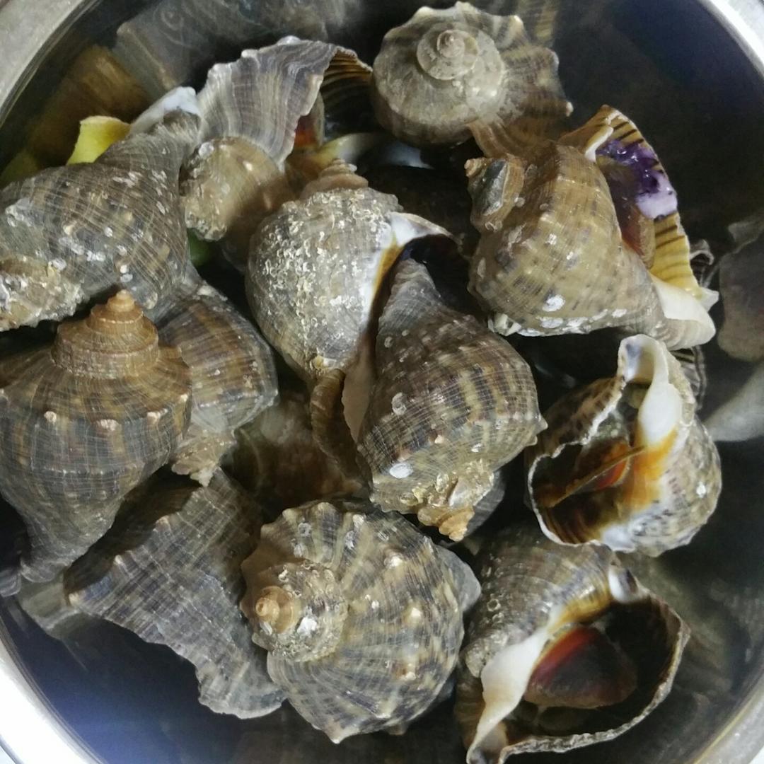 水煮海螺