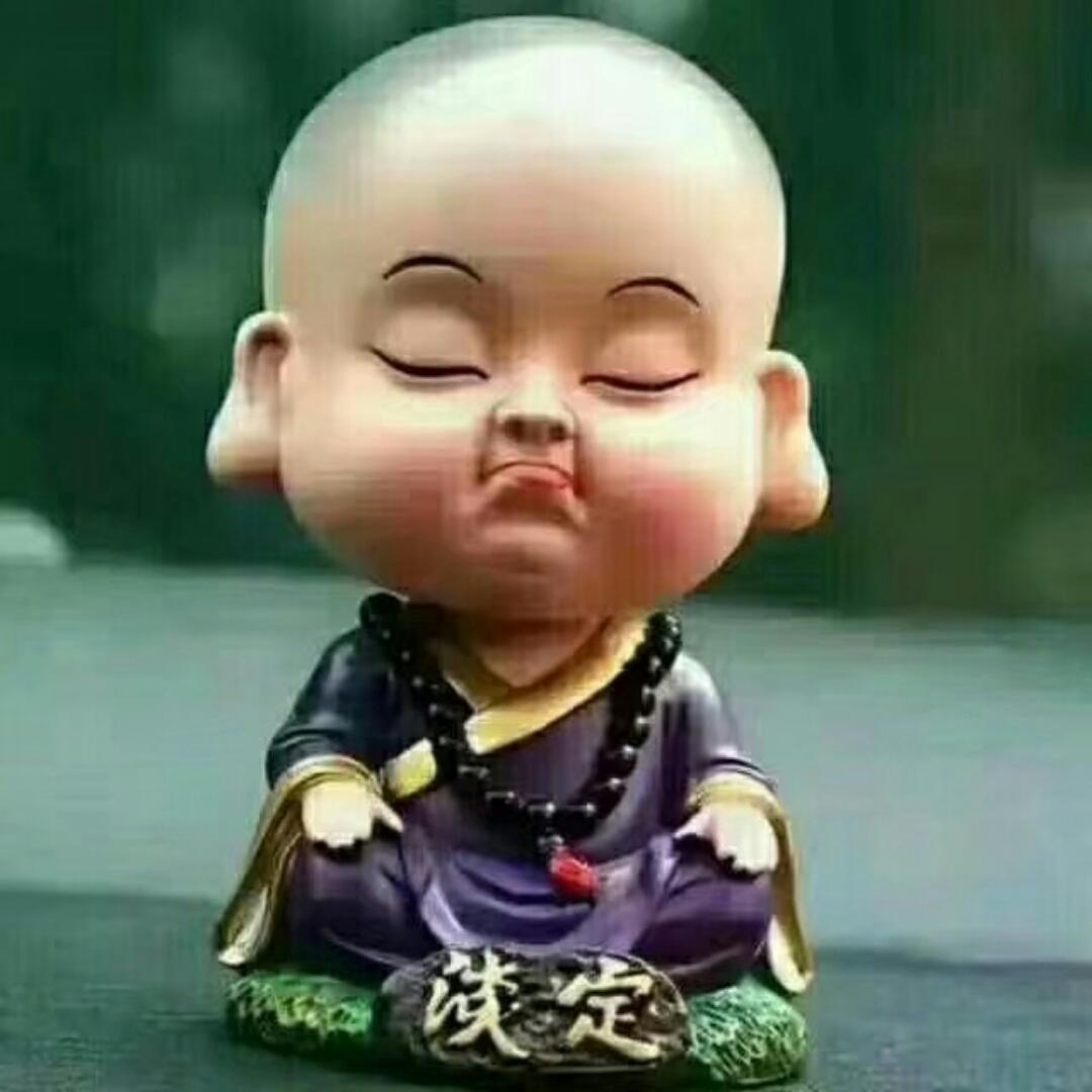 爱贪吃的猫