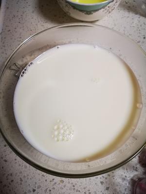 简单美味牛奶火龙果布丁的做法 步骤1