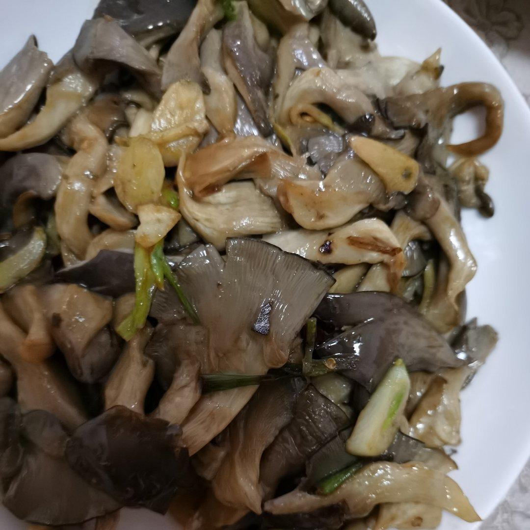 素炒平菇