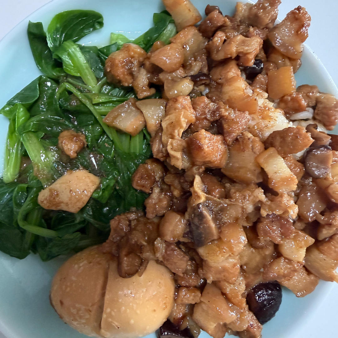 好吃到停不下来的卤肉饭