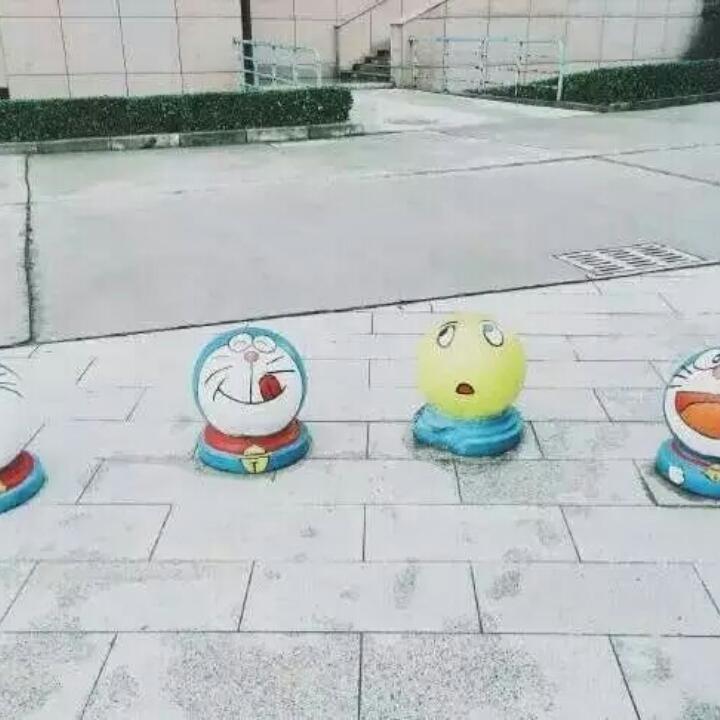贱人猪