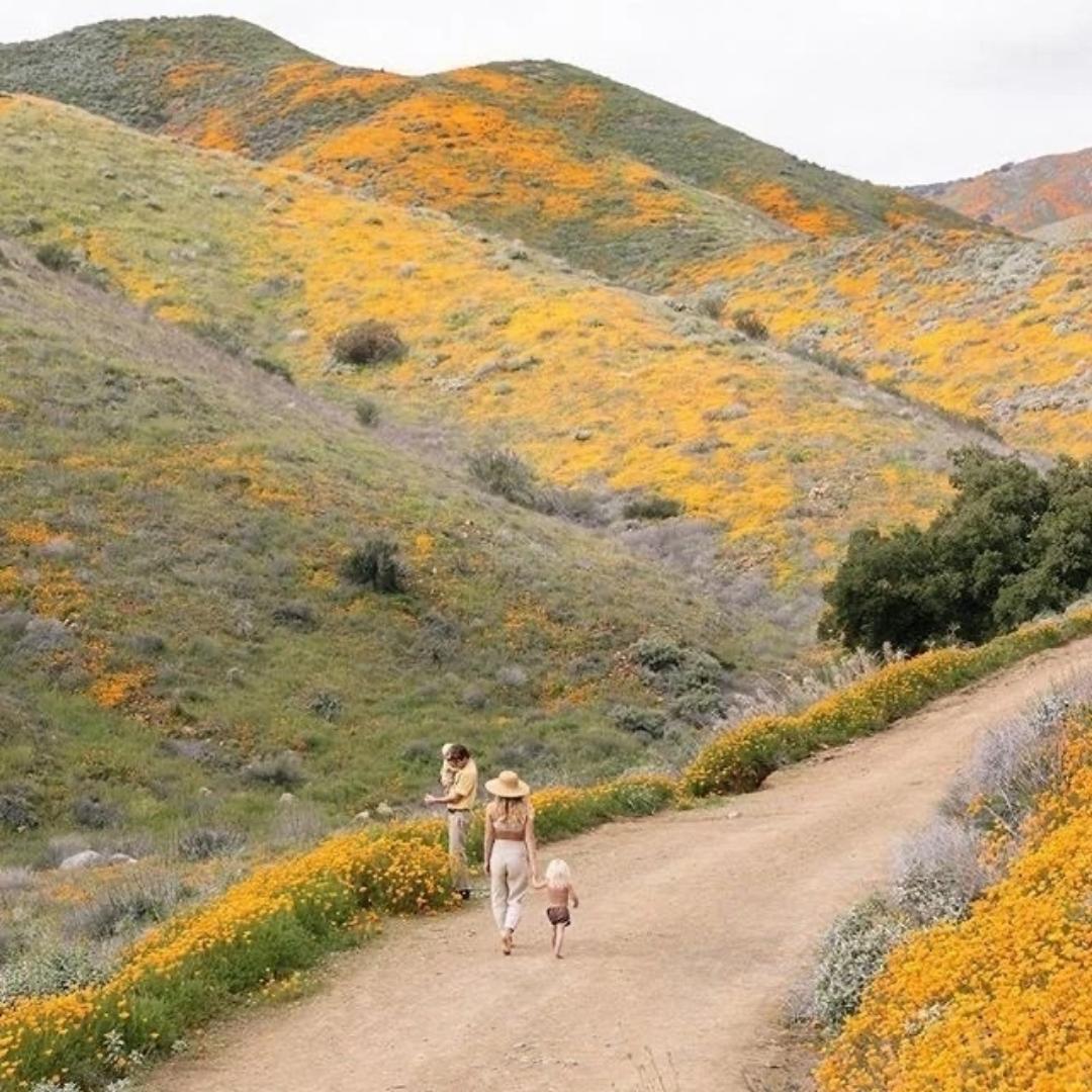 番茄梅子红小豆