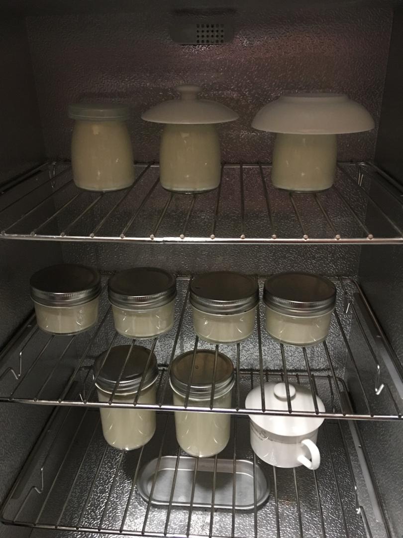 自制酸奶