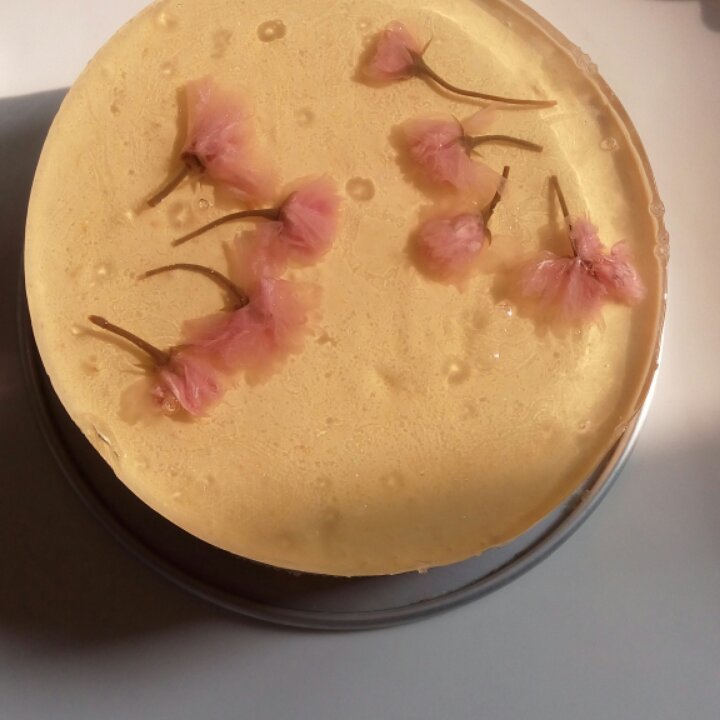 【视频】芒果慕斯（6寸） | 含镜面果胶配方