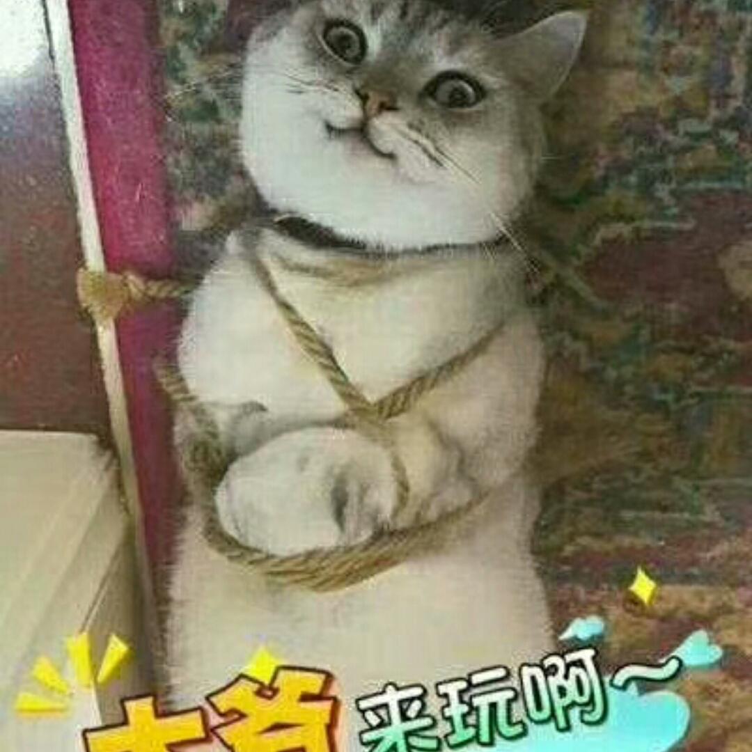大大粑粑
