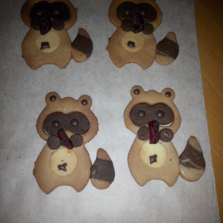 小浣熊饼干