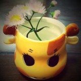 不是当年的三三