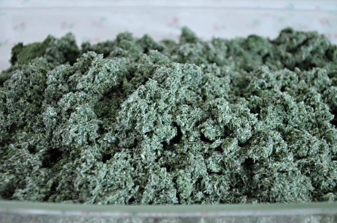 天然艾草粉
