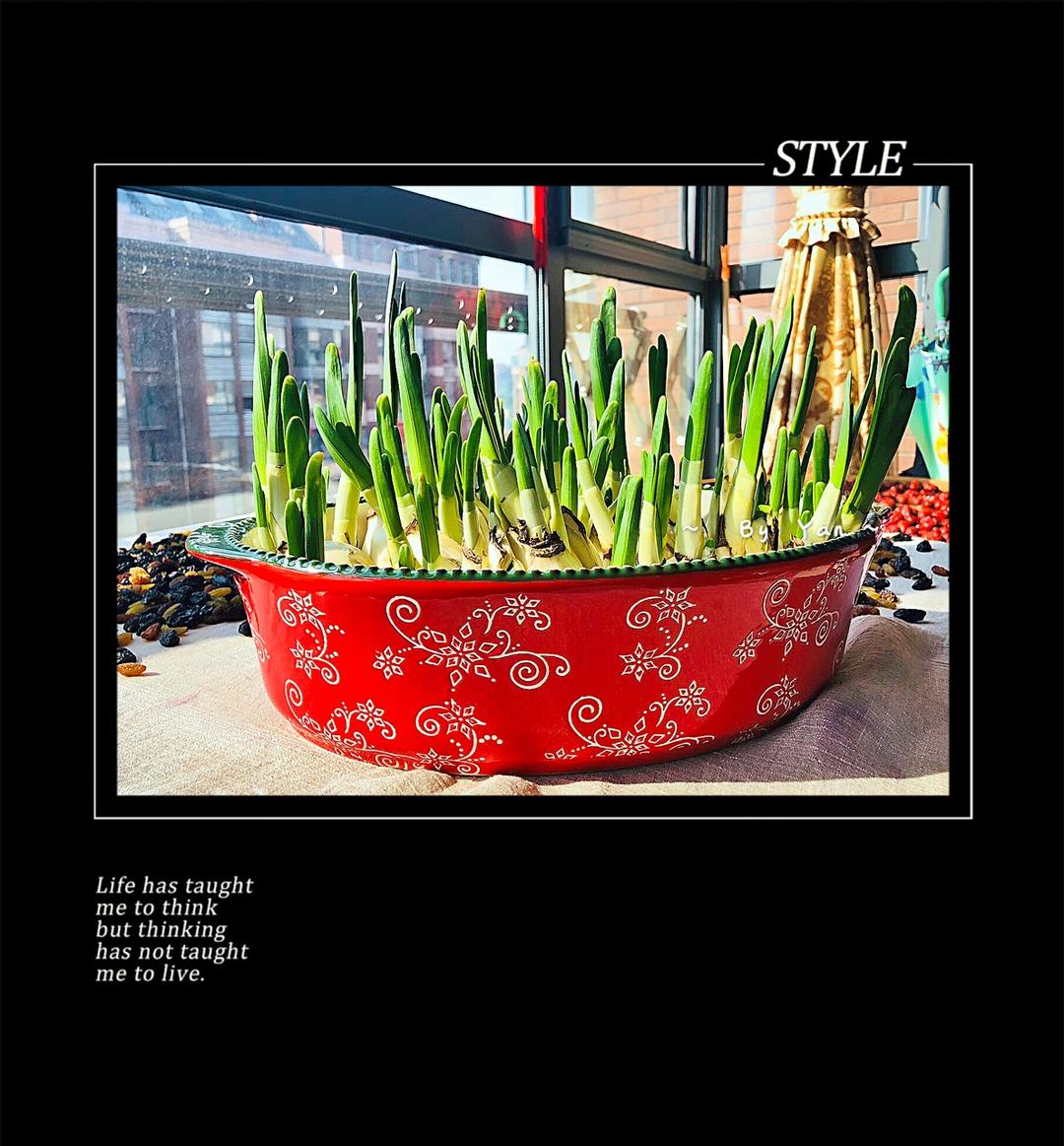 记录减脂营养餐（私人记录篇）