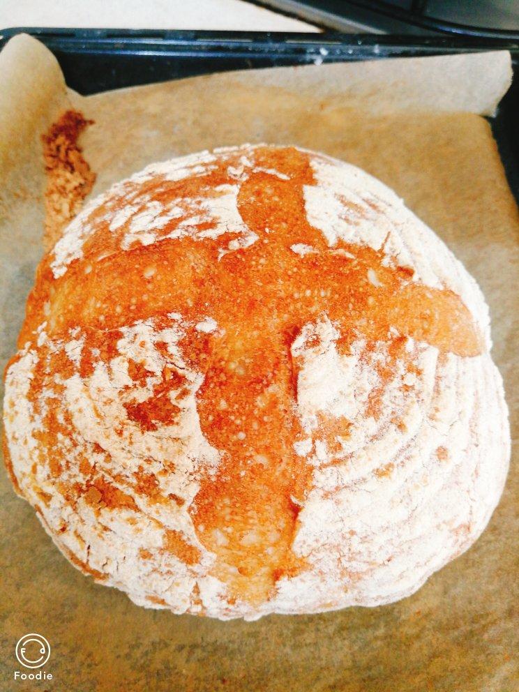 欧包/乡村面包-无油不用揉 No Knead Bread