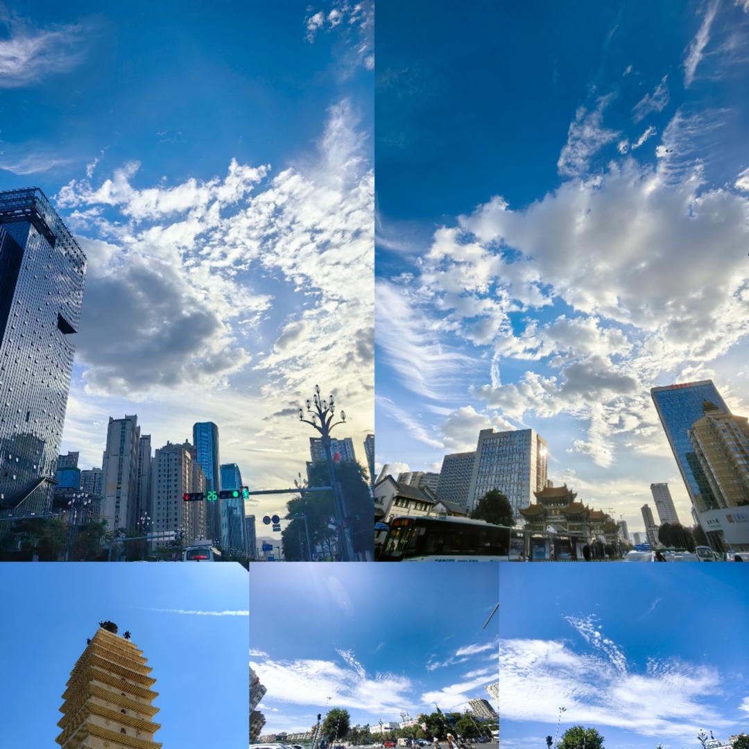 小猪佩奇中狗爷爷的番茄沙拉菜谱