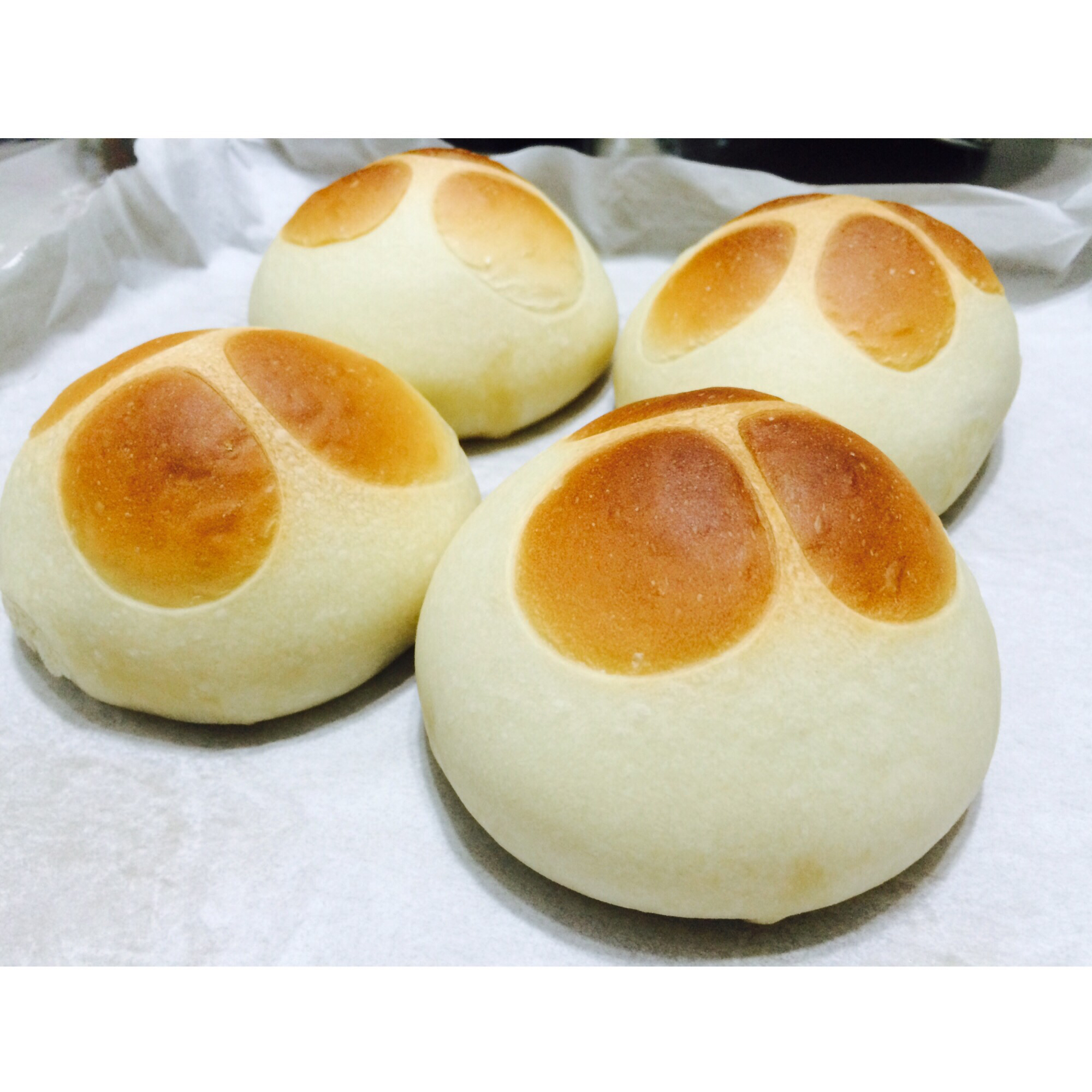 猫爪椰蓉面包——欧克皮的简单装饰