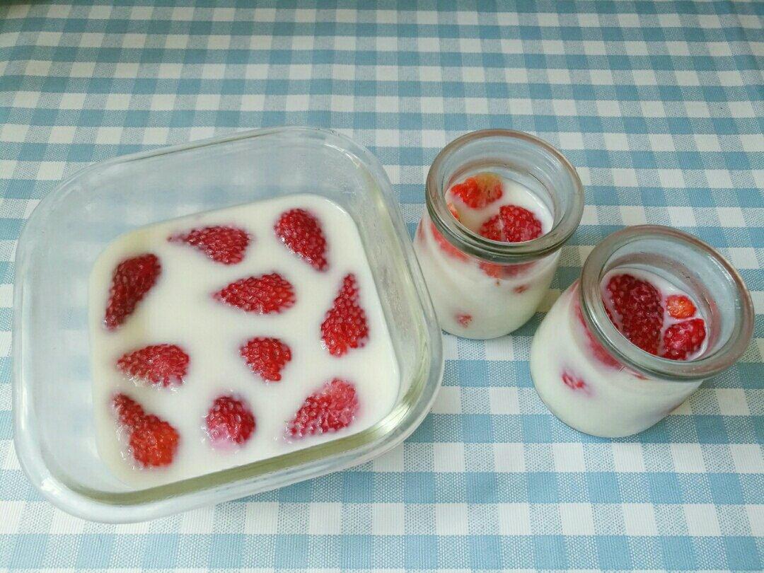 日式草莓牛奶冻