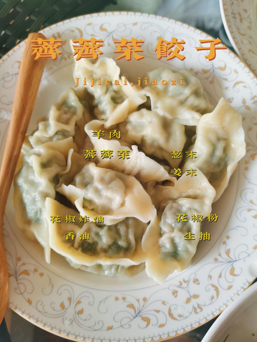 荠菜鲜肉饺子