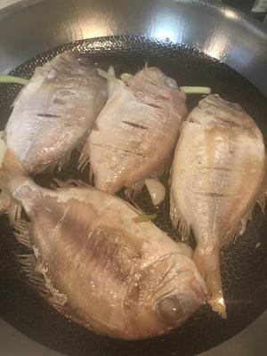 干煎赤棕鱼的做法 步骤8