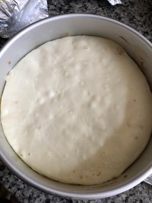 高压锅版的低脂健康cheesecake的做法 步骤10