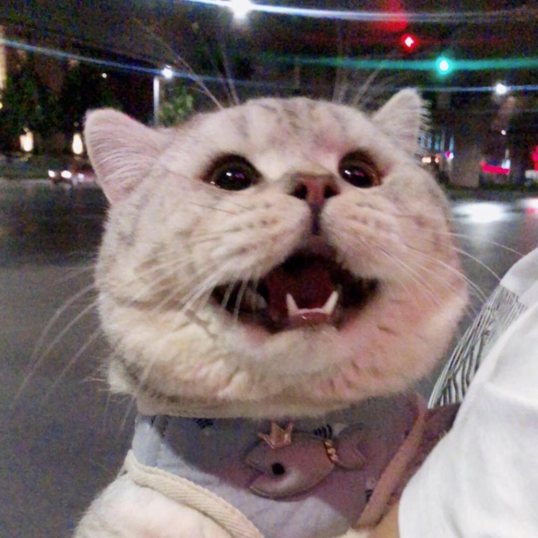 叫你欣爷