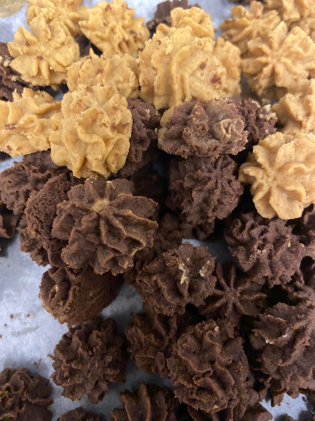 入口即化的珍妮曲奇