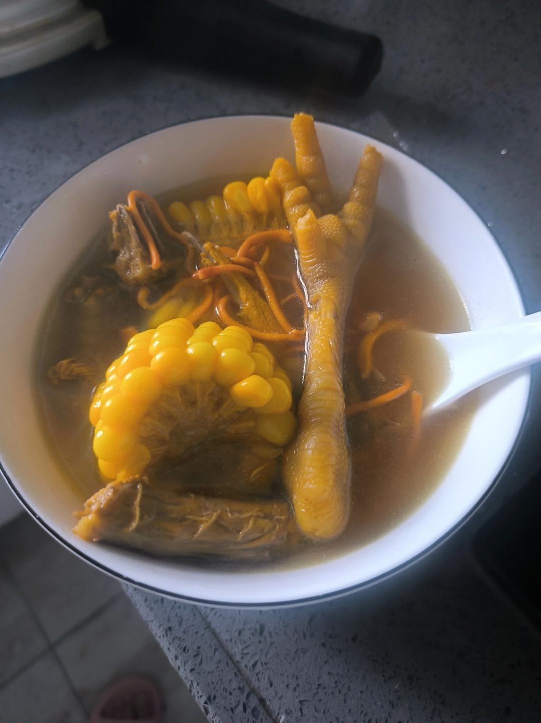 虫草花鸡汤