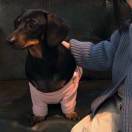 手机用户1348_3fix