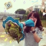 Agnes凍結